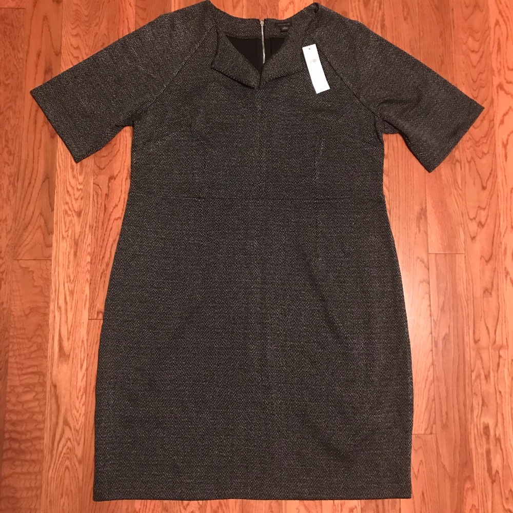 Ann Taylor Dress